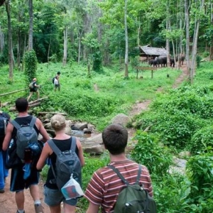 柬埔寨启动推进生态旅游计划